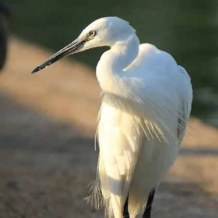 La Sterne De Loire Charming House 3*