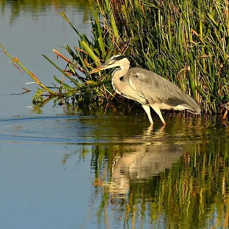 Vendégház La Sterne De Loire Charming House Souzay-Champigny