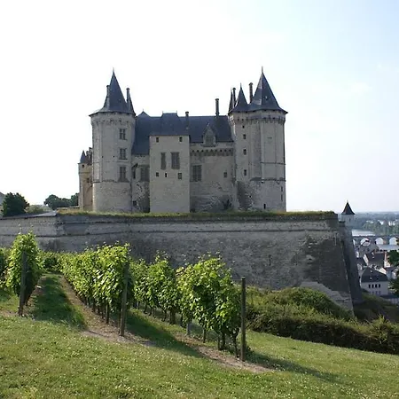 La Sterne De Loire Charming House * Souzay-Champigny