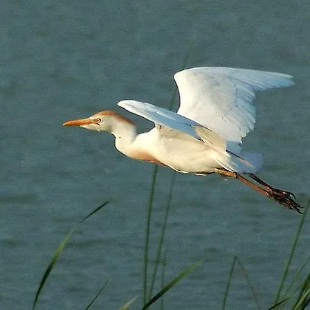 La Sterne De Loire Charming House 3* Souzay-Champigny