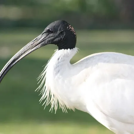 La Sterne De Loire Charming House