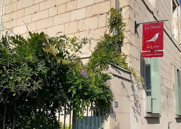 La Sterne De Loire Charming House Pensión